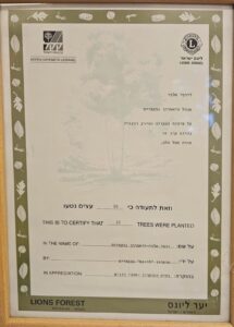 ישראל יוסי אלפי הסטוריטלר הלאומי אמנות הסטוריטלינג
